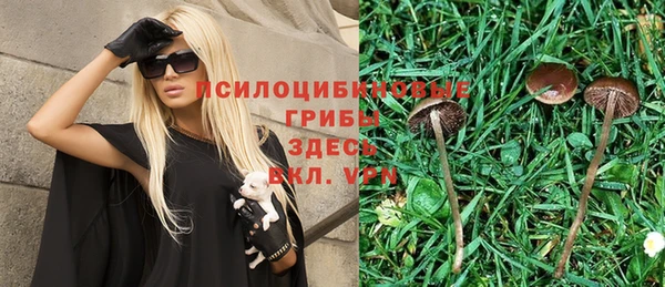 бутират Аркадак