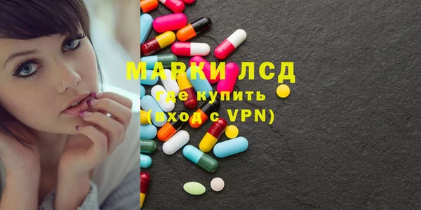 прущие грибы Осташков