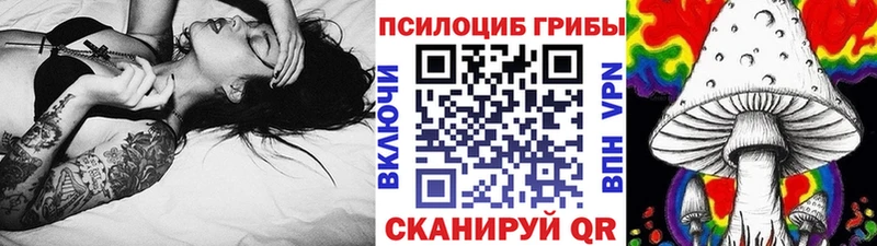 ссылка на мегу ССЫЛКА  купить наркотик  Кадников  Псилоцибиновые грибы мицелий 